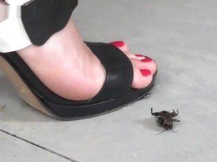 best of Crushing bugs sandals