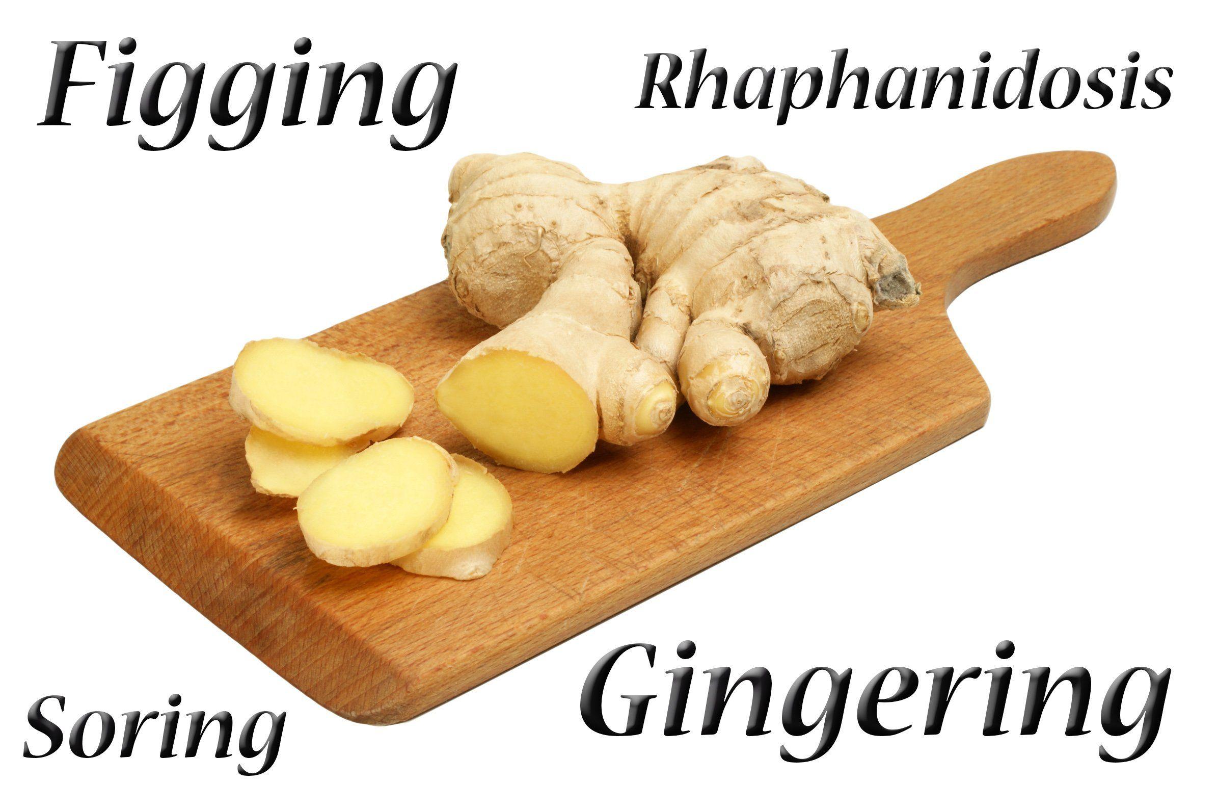 Anal ginger root