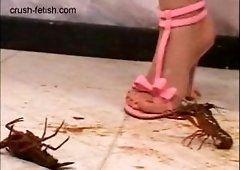 Neptune reccomend sandals crushing bugs