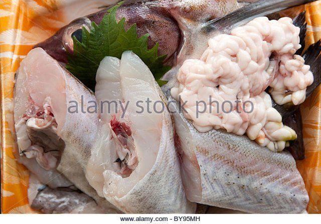 best of Sperm a Cod delicacy is