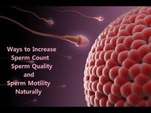 Slobber-knocker reccomend Sperm low motility fertility