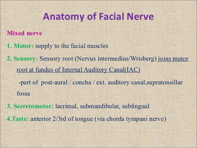 Vulture reccomend Clinical anamtomy of facial muscles