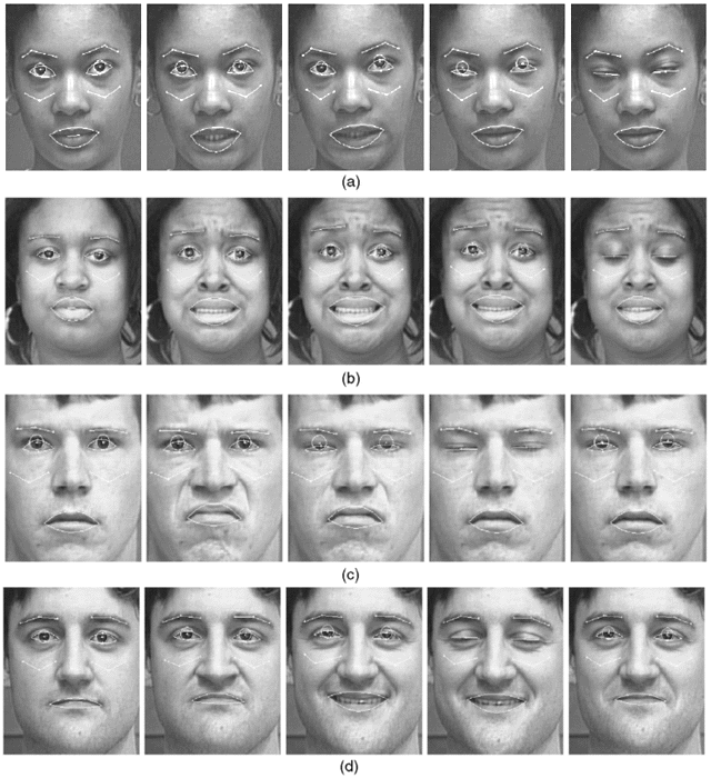 Analyzing facial expressions doctorate