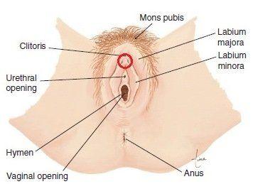 Positions that stimulate clitoris