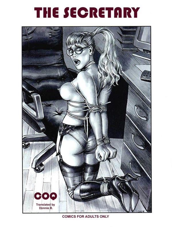 Erotic comics pdf