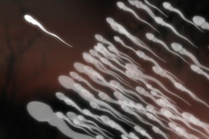 best of Sperm outside of womb Lifespan