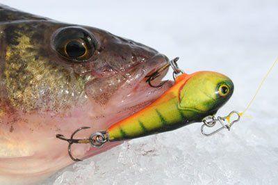 Serpentine reccomend Ice fishing chubby lure