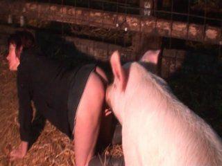 Buttercup reccomend Girl gets fucked by a pig