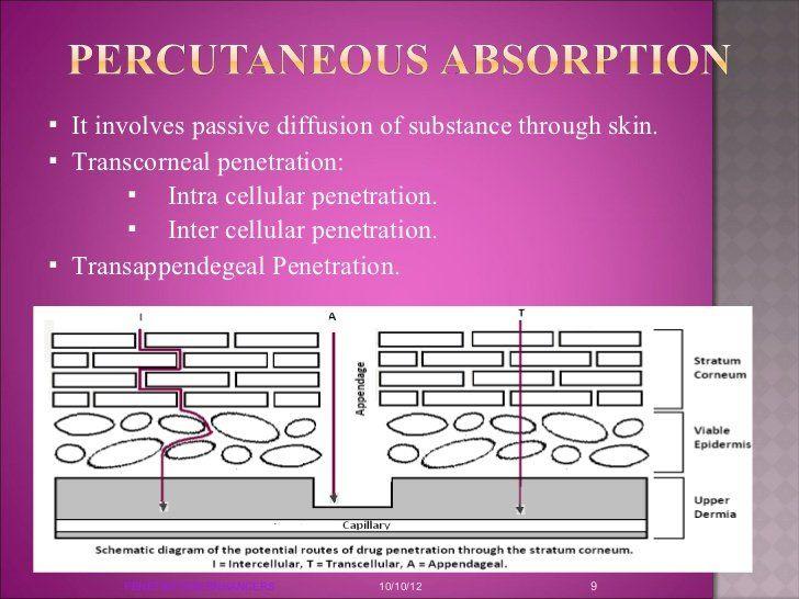 best of Percutaneous Enhancers penetration