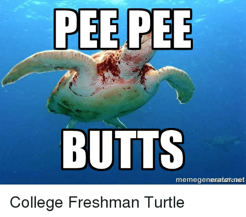 best of Drink Turtle piss