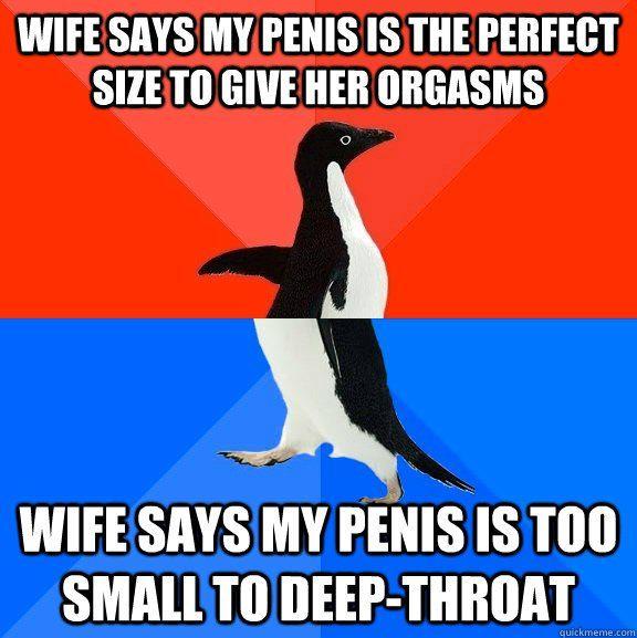 My wife says my penis is too small