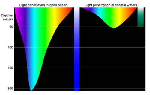 Sugar reccomend Color penetration in the ocean
