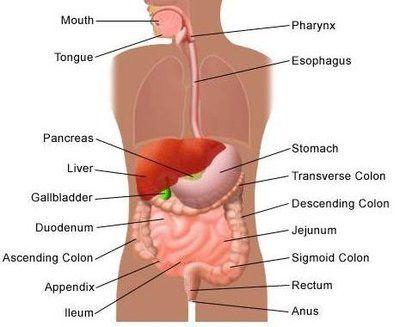 best of Stomach lower anus leading to in Pain