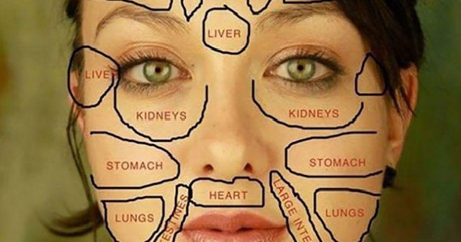 best of Chart facial diagnosis Chinese medicine