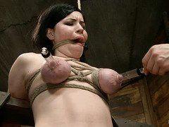 best of Tit Hole torture and