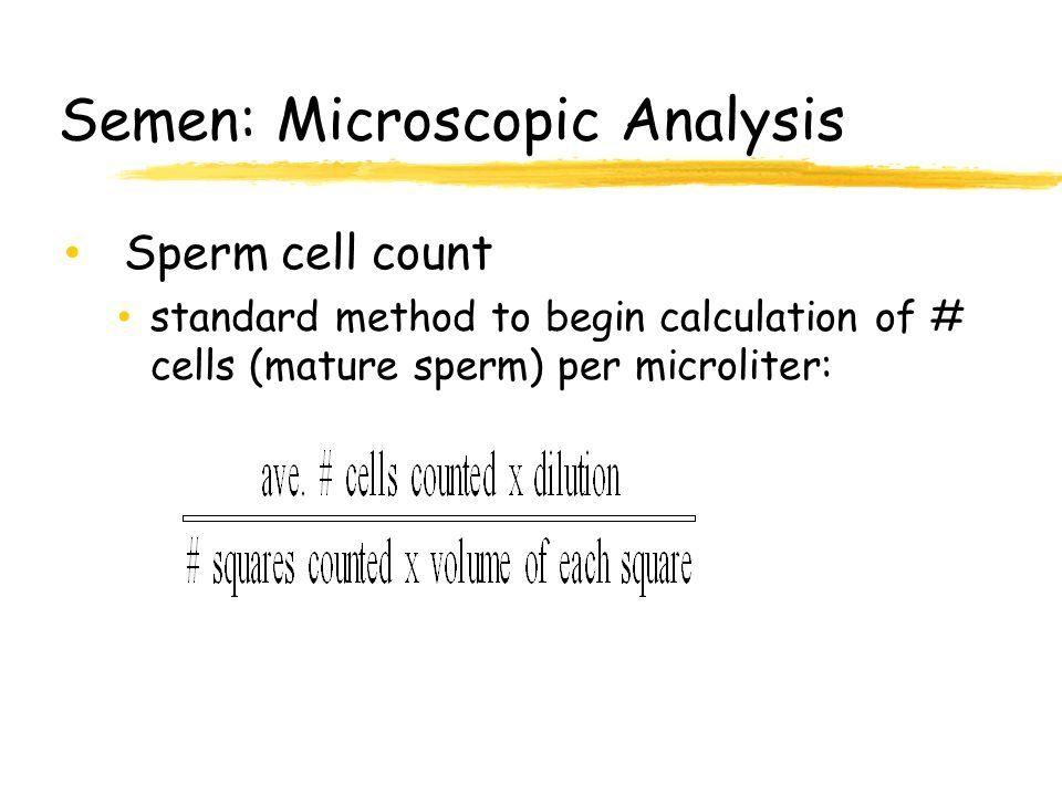 Inflammatory cells found in sperm count