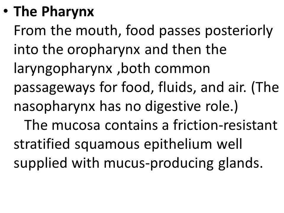 Seven passageways that penetrate pharynx