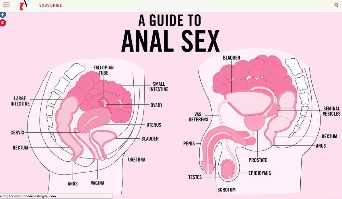 best of Guide Anal gay intercourse