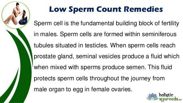 best of Sperm count Building