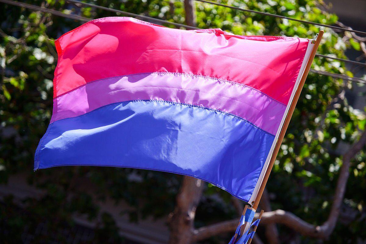 best of Pride colors Bisexual