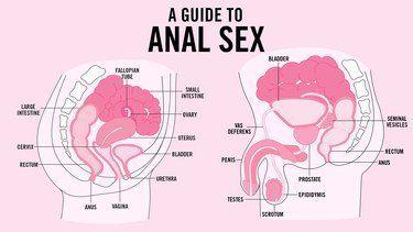 best of Guide Anal gay intercourse