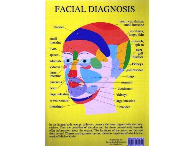 Chinese medicine facial diagnosis chart