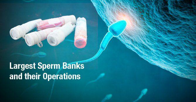 Video of sperm bank in operation