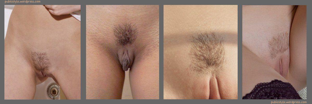 Different styles of pussy trimming