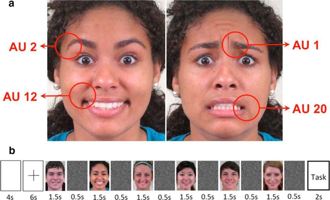Ice reccomend Facial emotion recognition test ordering