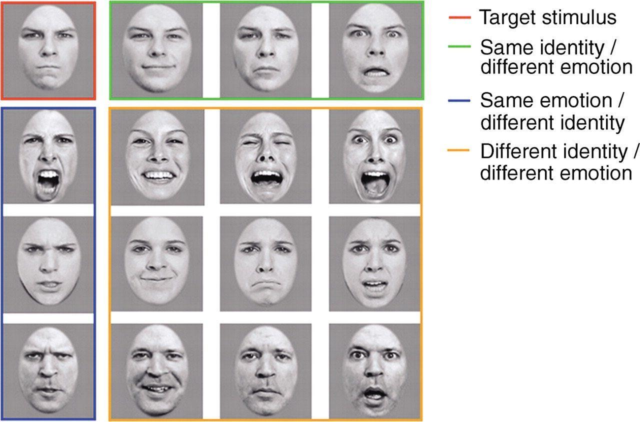 best of Emotion test ordering recognition Facial