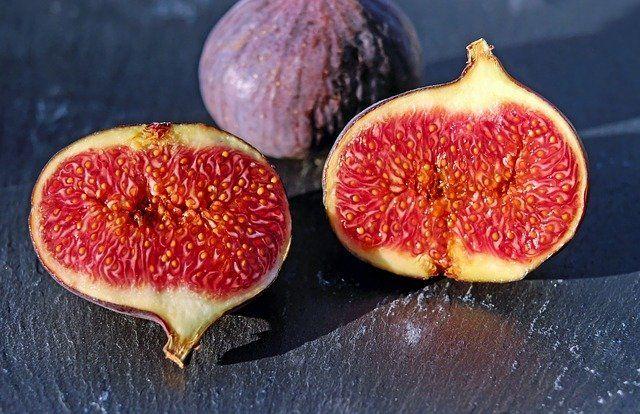 Figs and sperm