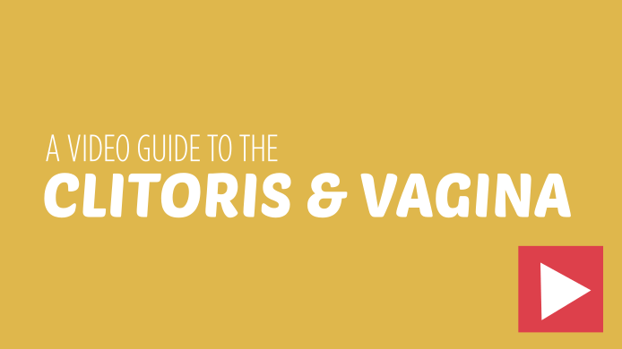 Guide to the clitoris