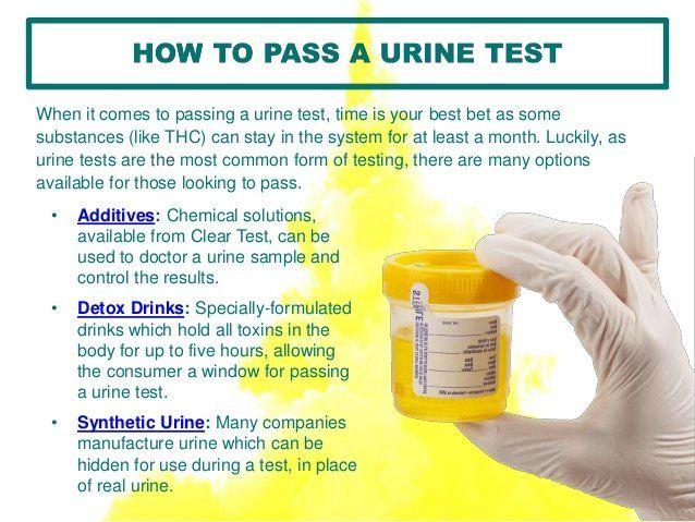 Scratch reccomend How do i pass a piss test