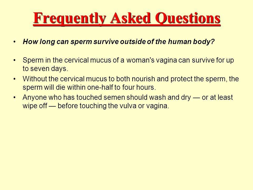 best of The live body outside can How long sperm human