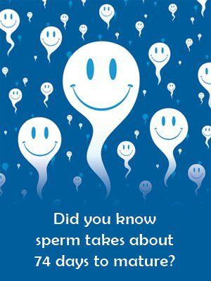 Megalodon reccomend Old sperm vs new sperm
