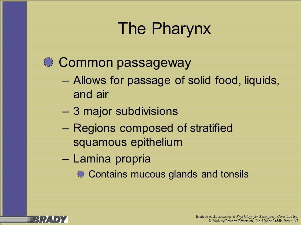 best of Pharynx penetrate Seven that passageways