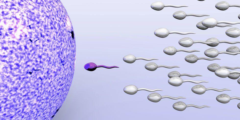 Sperm colours can be different