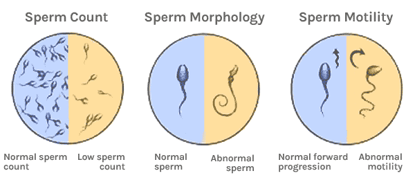 best of Count color Sperm semen