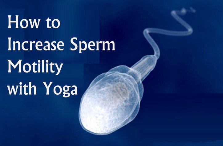 Boot reccomend Sperm low motility fertility