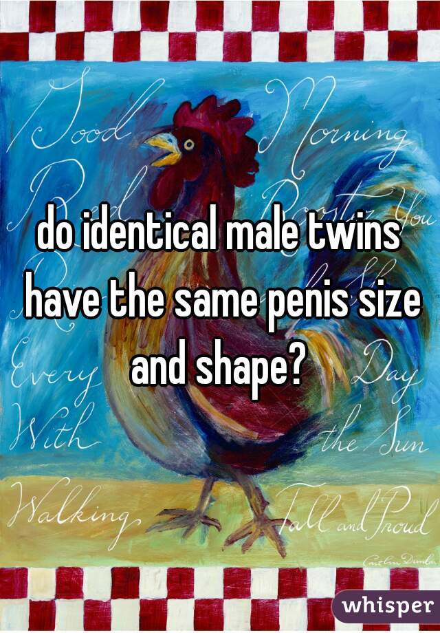 best of Size Twins penis