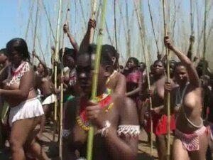 best of Royal upskirt Zulu reed